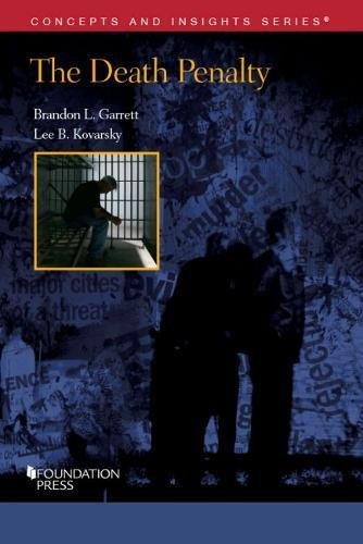 The Death Penalty (Concepts and Insights) cover
