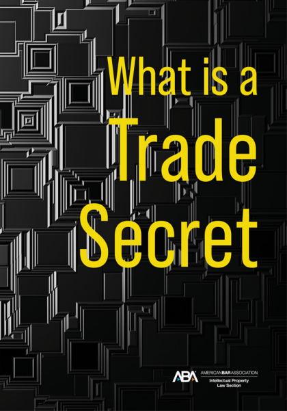 What is a Trade Secret - Dawn M Mertineit